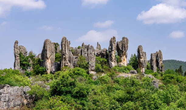 floresta de pedra de shilin - província de yunnan - china - the stone forest - fotografias e filmes do acervo