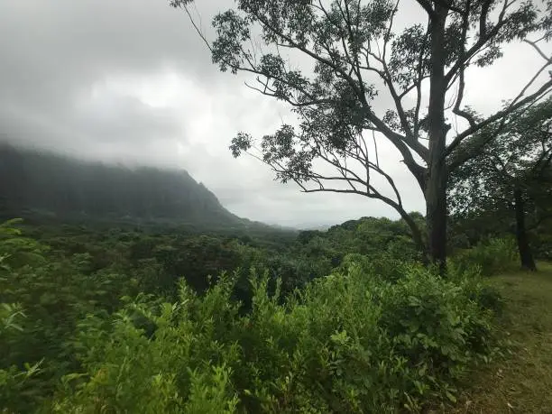Clouds over the Ko’olau mountain
