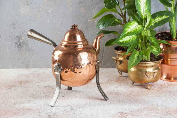 istock Vintage copper teapot and green plants 1029493048