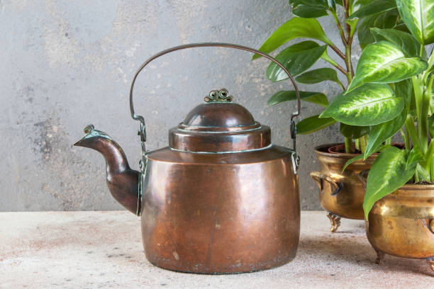 istock Old copper teapot and green plants 1029493644
