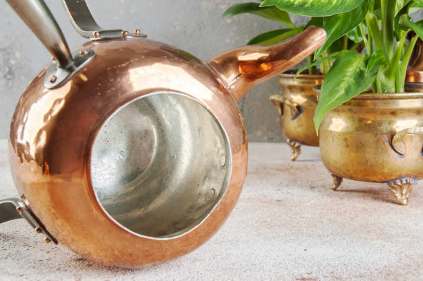 istock Vintage copper teapot and green plants 1029494180