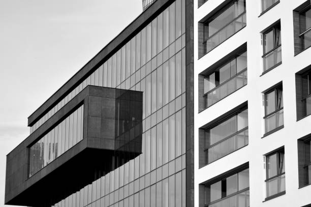 istock Modern apartment building exterior. Black and white. 1029496462