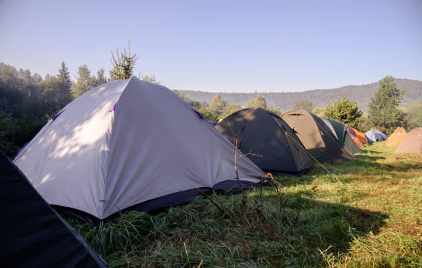istock Tourist tents camp 1029502172