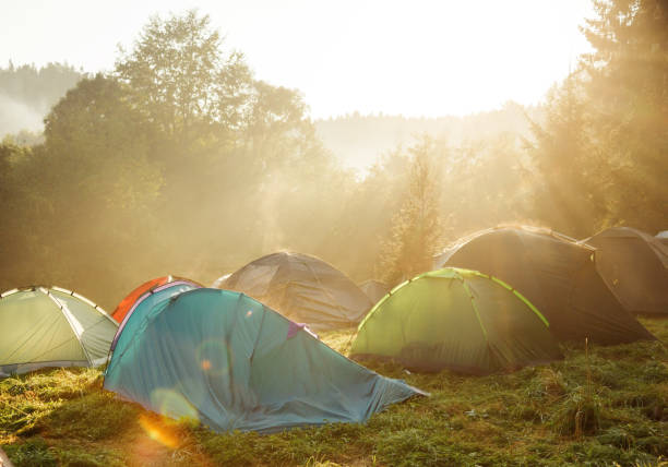 istock Tourist tents camp 1029510662