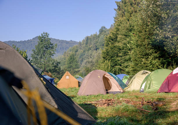istock Tourist tents camp 1029511960