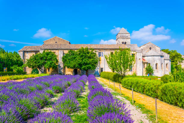 프랑스의 세인트 폴 de mausole의 수도원에서 라벤더 밭 - st remy de provence 뉴스 사진 이미지