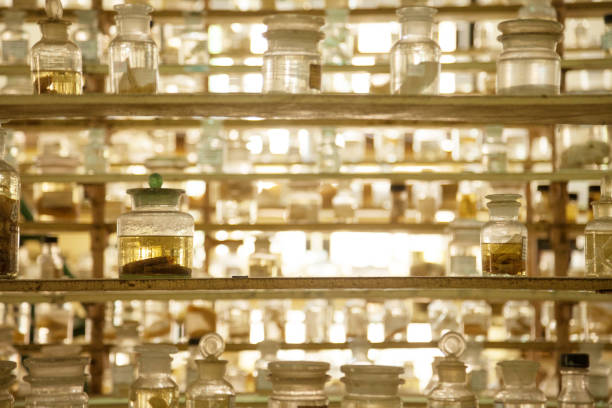 Museum shelves with specimens preserved wet in glass jars of formalin Jarred animals in a scientific collection of biological samples specimen holder stock pictures, royalty-free photos & images