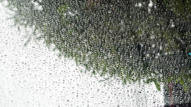 istock Water drops on the glass 1029541822
