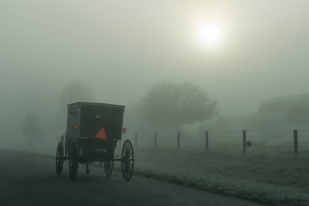 istock Amish Buggy in the Fog 1029542216