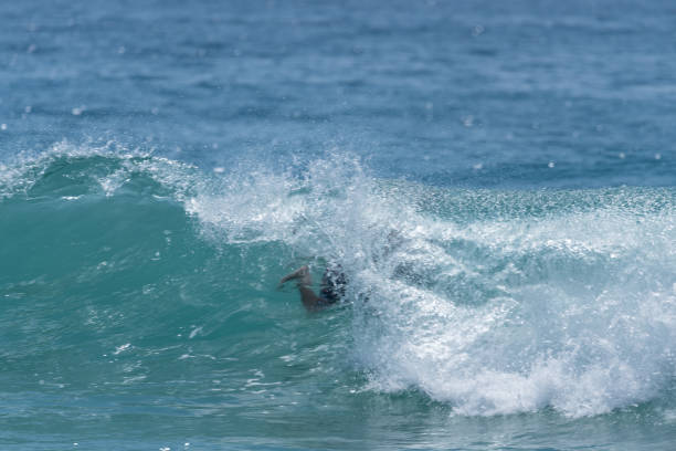 istock Wipe out! - Malibu, California 1029544494