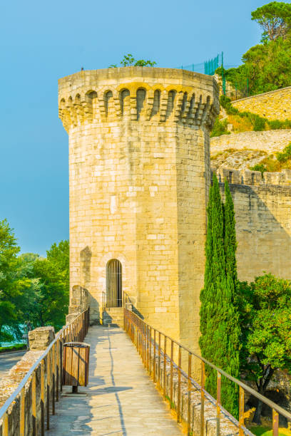istock Fortification of Avignon, France 1029544670