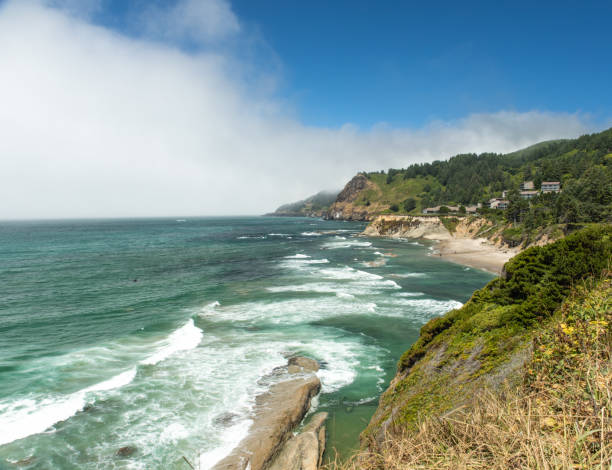 istock Fog bank near the rugged Oregon coast 1029552146