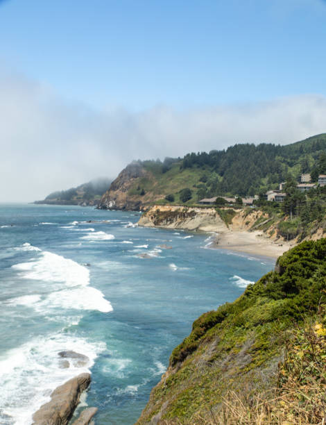 istock Vertical image, fog near the coastline in Oregon 1029552148