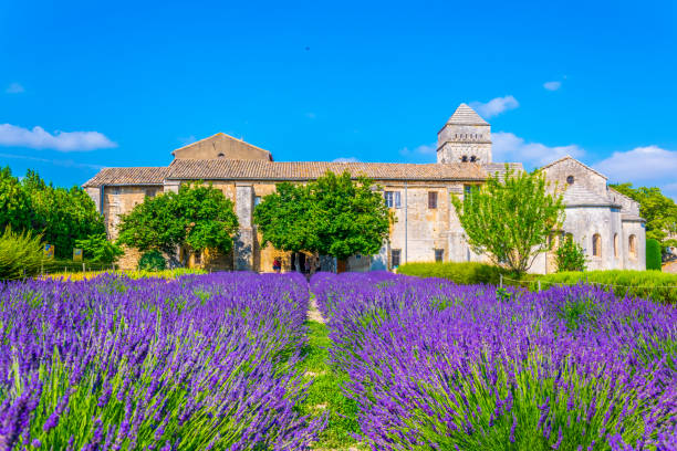 campo en el monasterio de saint paul de mausole en francia - st remy de provence fotografías e imágenes de stock