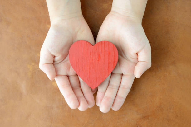 Heart object in child's hands Heart object in child's hands altruism photos stock pictures, royalty-free photos & images
