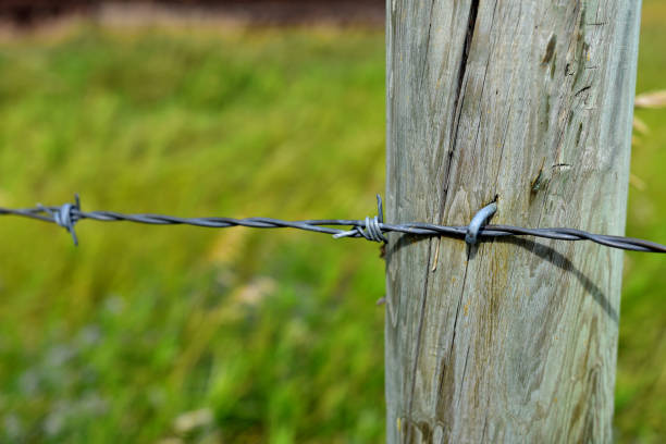 istock Old Wooden Post and Barbed Wire Fence Close Up 1029570874
