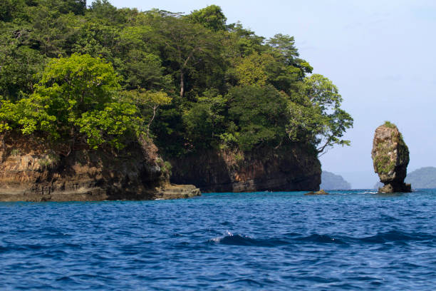 istock Coastal Landscape in Panama 1029579896