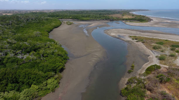 istock River mouth towards the sea 1029580018