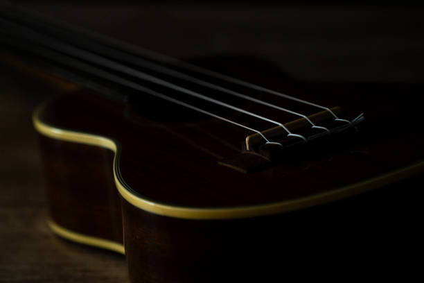istock Ukulele on a wooden floor // still life // low key 1029611550