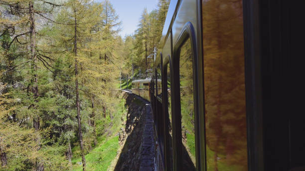 istock Cogwheel Train in Mountains 1029613922