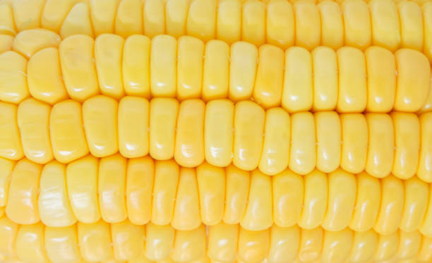 istock corn organic food nature background 1029616396