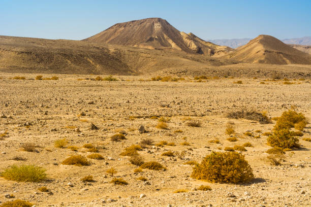 istock Stone desert in Israel. 1029616766
