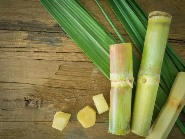 Fresh sugarcane cut into pieces on a wooden table with leaves and cane.
