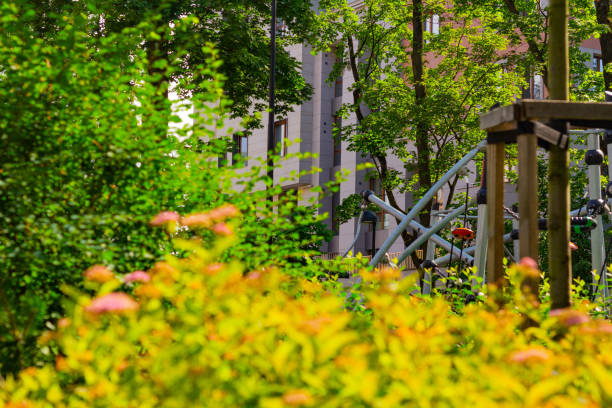 istock Green park with flowers 1029624932