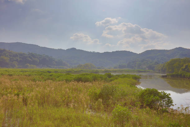 the Plover Cove Country Park  LUK KENG