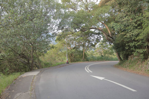 istock road running through a tunnel of green trees 1029625250