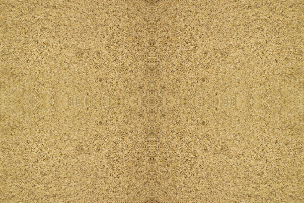 istock rice closeup food background texture 1029637696