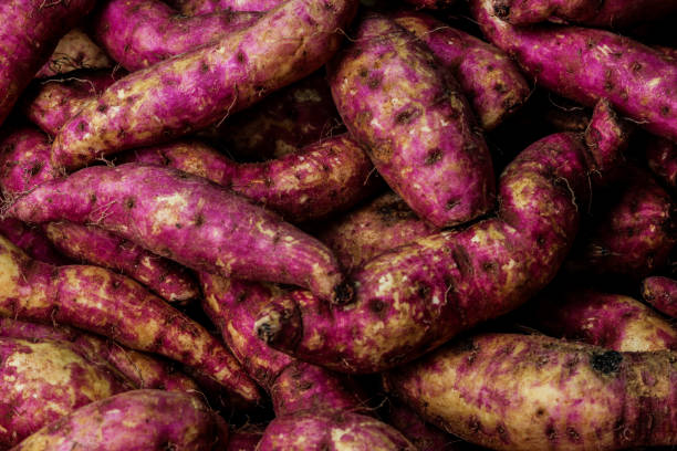 istock sweet potato closeup shot pink vegetables 1029642792
