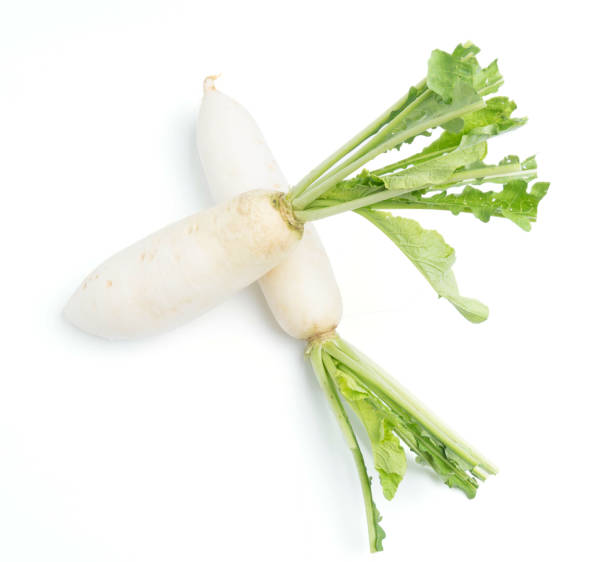 istock daikon radishes isolated on white background 1029643254