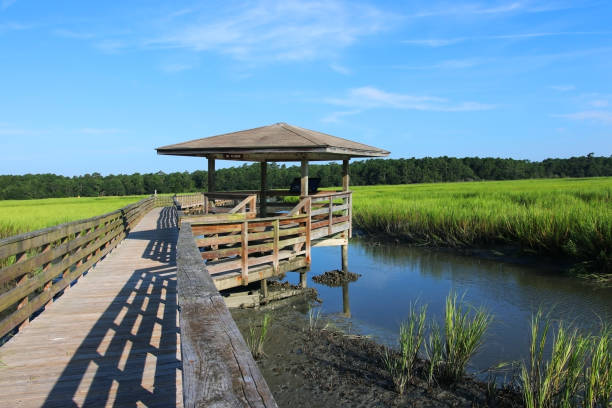 istock Huntington Beach State Park, South Carolina, USA. 1029656888