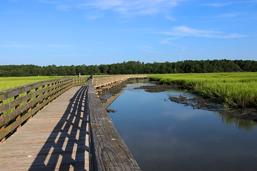 Scenic view from the wooden boardwalk on the expansive salt marsh during sunny morning. South Carolin nature background. Litchfield, Myrtle Beach area.