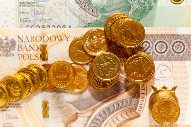 istock Polish coin money pile closeup 1029668926