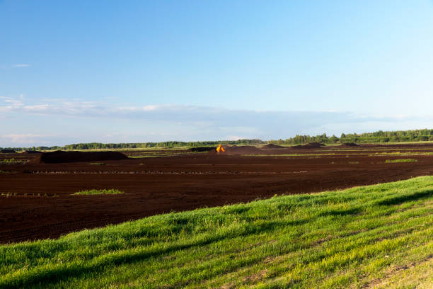istock production of peat landscape 1029678304