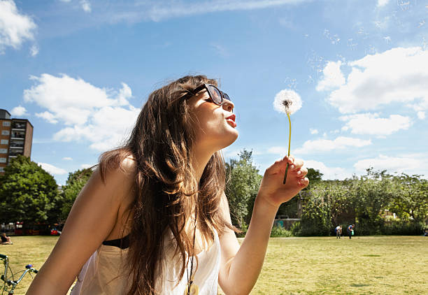 Young woman blowing away the dandelion seeds  mid length hair stock pictures, royalty-free photos & images