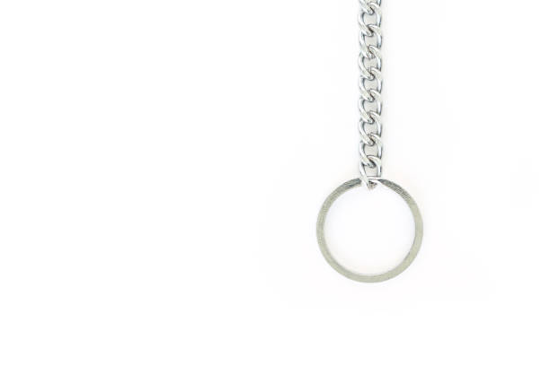 istock key chain safety key home or car and key other 1029704596