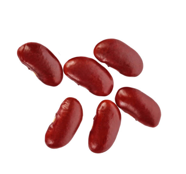 istock Top view of red kidney bean on white background 1029704870