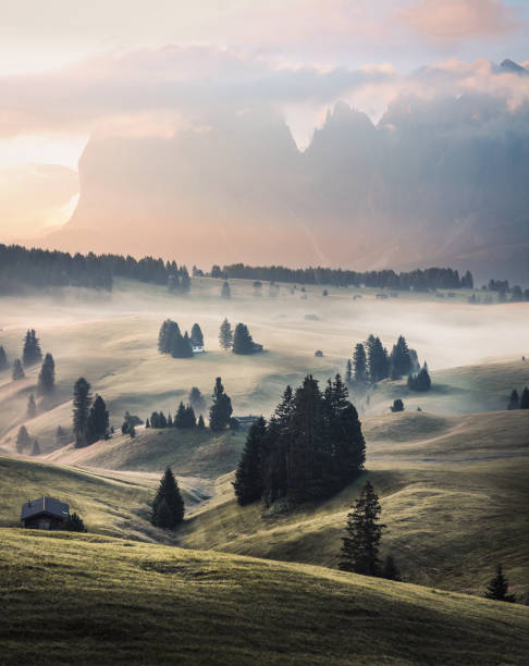istock Alp of Siusi 1029711398