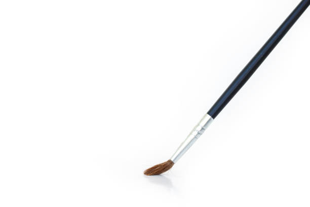 istock paint brush set tool art  on white background 1029714264