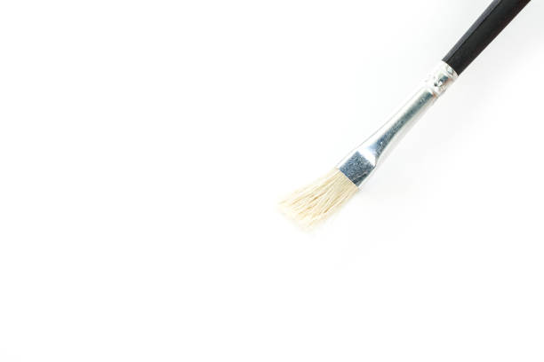 istock paint brush set tool art  on white background 1029714280