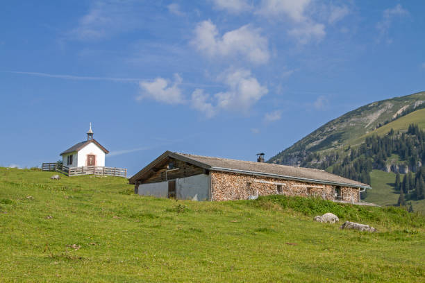 istock idyllic Grabenbergalm in Tyrol 1029714784