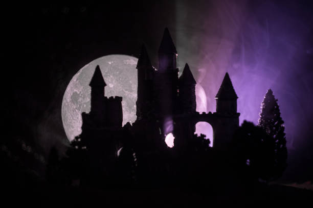 istock Mysterious medieval castle in a misty full moon. Abandoned gothic style old castle at night 1029717508