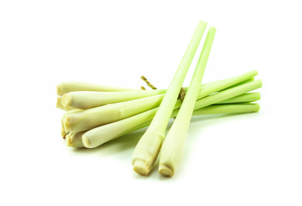 istock Lemongrass isolated on white background 1029723642