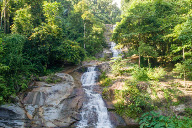 istock Aerial shot tropical forest and  Waterfall  south Thailand 1029726734
