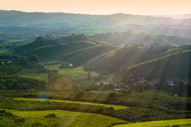 istock Sunset views in the Langhe Unesco heritage 1029730576