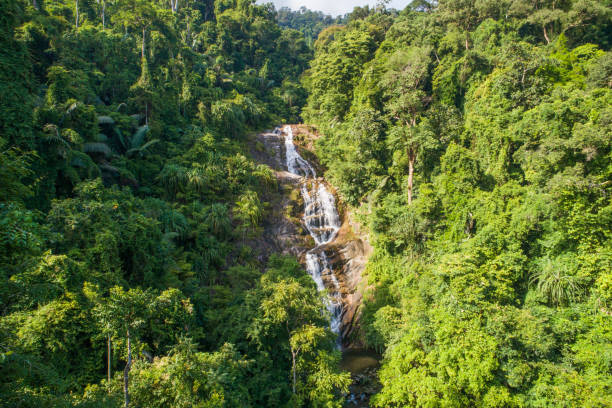 istock Aerial shot tropical forest and  Waterfall  south Thailand 1029731070