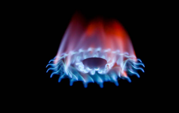 istock Gas burning on the stove 1029731672